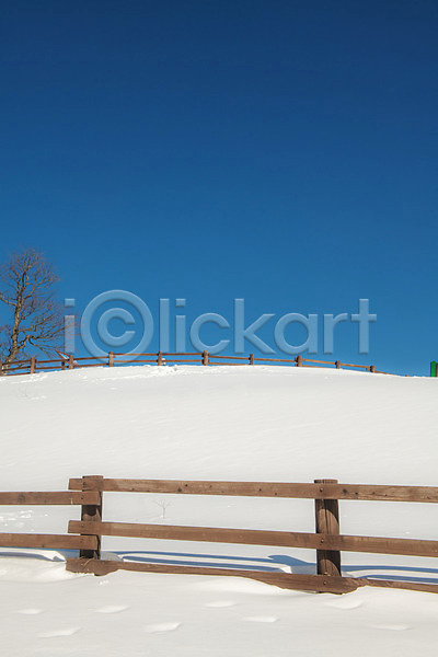 사람없음 JPG 포토 강릉 강원도 겨울 겨울풍경 계절 눈(날씨) 대관령 설원 야외 언덕 주간 파란색 흰색