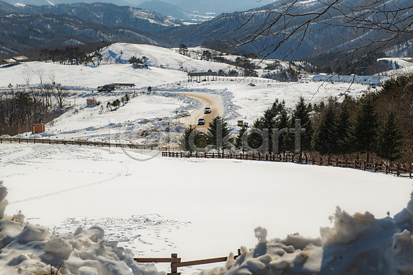 사람없음 JPG 포토 강릉 강원도 겨울 겨울풍경 계절 눈(날씨) 대관령 설원 야외 주간 흰색