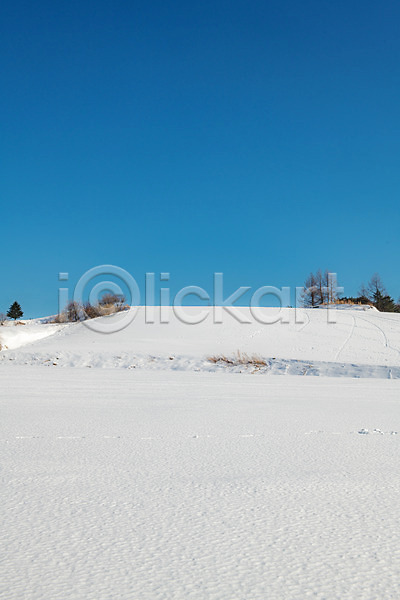 사람없음 JPG 포토 강릉 강원도 겨울 겨울풍경 계절 눈(날씨) 대관령 설원 야외 주간 파란색 흰색