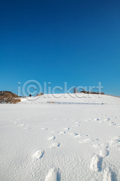 사람없음 JPG 포토 강릉 강원도 겨울 겨울풍경 계절 눈(날씨) 대관령 발자국 설원 야외 주간 파란색 흰색