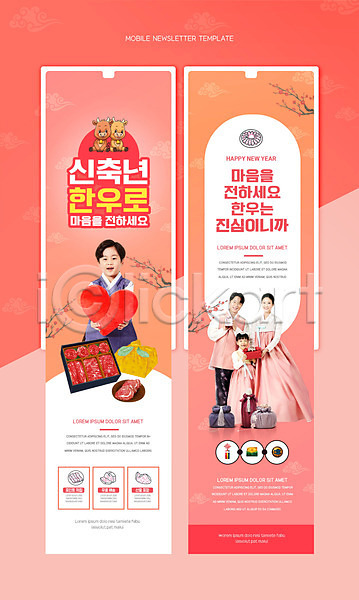 30대 남자 성인 소녀(어린이) 소년 어린이 여러명 여자 한국인 PSD 뉴스레터 웹템플릿 템플릿 2021년 가족 근하신년 두마리 들기 분홍색 상반신 새해 새해선물 소캐릭터 신축년 전신 족두리 하트 한복 한우