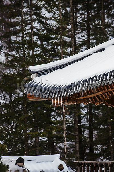 사람없음 JPG 포토 강원도 겨울 고드름 기와담장 기와지붕 눈(날씨) 사찰 소나무 야외 월정사 전나무 주간 평창