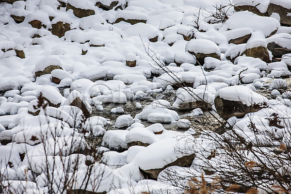 사람없음 JPG 포토 강가 강원도 겨울풍경 눈(날씨) 눈덮임 돌 야외 전나무 주간 평창