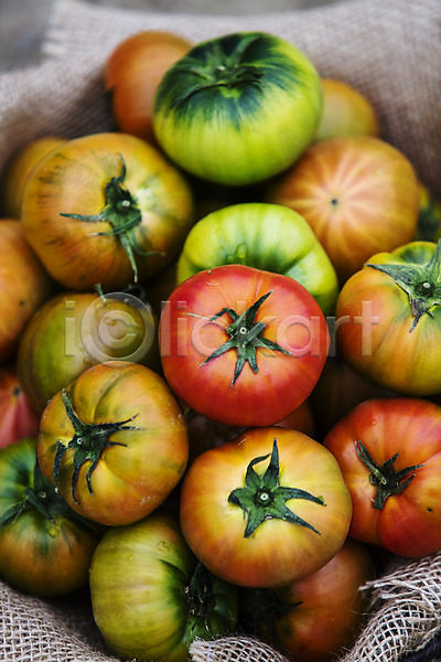 사람없음 JPG 근접촬영 포토 과채 농작물 담기 부산 야외 주간 토마토 특산물