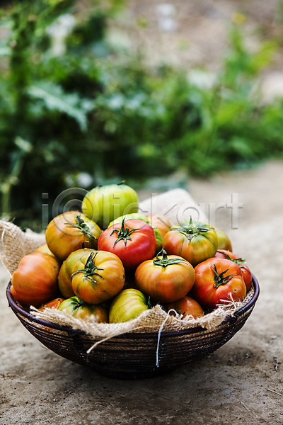 사람없음 JPG 아웃포커스 포토 과채 농작물 담기 바구니 부산 야외 주간 토마토 특산물
