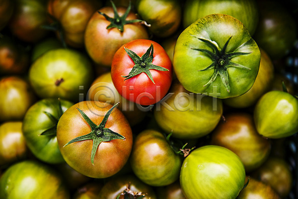 사람없음 JPG 근접촬영 포토 가득함 과채 농작물 부산 야외 주간 토마토 특산물