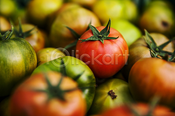 사람없음 JPG 근접촬영 소프트포커스 포토 가득함 과채 농작물 부산 야외 주간 토마토 특산물