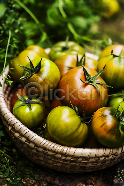 사람없음 JPG 근접촬영 아웃포커스 포토 과채 농작물 담기 바구니 부산 야외 주간 토마토 특산물