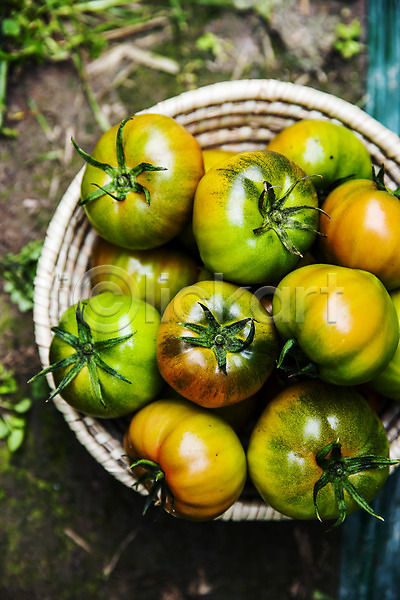 사람없음 JPG 근접촬영 포토 하이앵글 과채 농작물 담기 바구니 부산 야외 주간 토마토 특산물