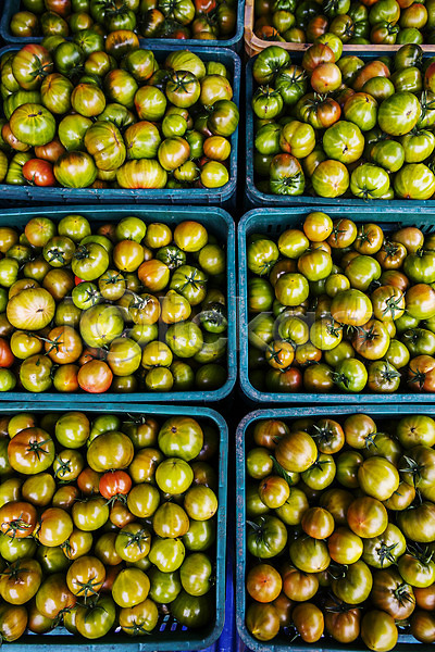 사람없음 JPG 포토 하이앵글 가득함 과채 농작물 부산 야외 주간 토마토 특산물