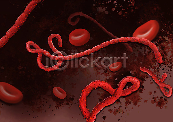 사람없음 PSD 일러스트 바이러스 빨간색 에볼라 적혈구