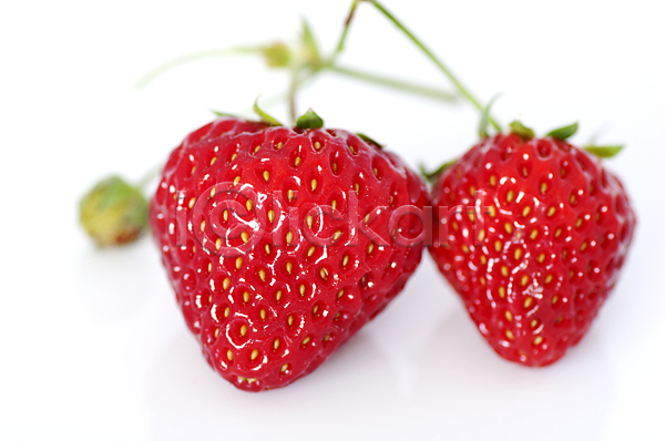 기쁨 사람없음 JPG 포토 해외이미지 과일 딸기 생태계 설탕 아침 해외202004 해외202105