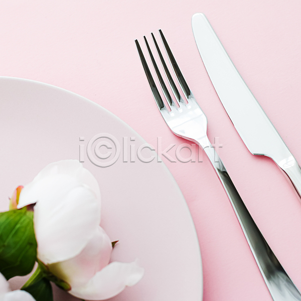 사람없음 JPG 포토 해외이미지 꽃 나이프 분홍색배경 식기 접시 포크