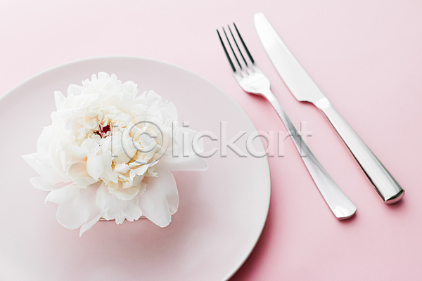사람없음 JPG 포토 해외이미지 꽃 나이프 분홍색배경 식기 접시 포크