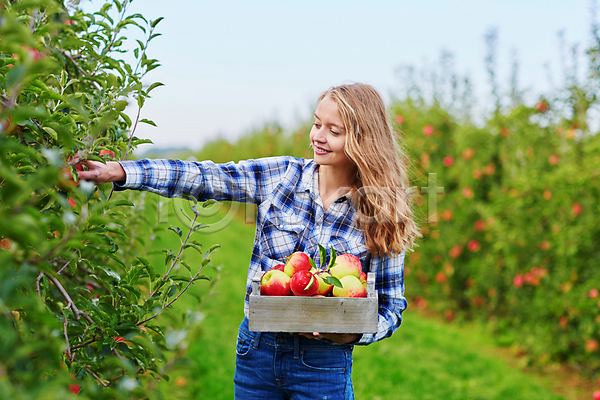백인 성인 성인여자한명만 한명 JPG 아웃포커스 포토 해외이미지 과수원 나무상자 농부 들기 미소(표정) 사과 사과농장 상반신 수확 야외 주간