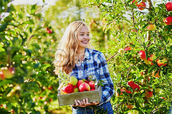 백인 성인 성인여자한명만 한명 JPG 아웃포커스 포토 해외이미지 과수원 나무상자 농부 들기 미소(표정) 사과 사과농장 상반신 야외 주간
