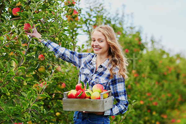 백인 성인 성인여자한명만 한명 JPG 아웃포커스 포토 해외이미지 과수원 나무상자 농부 들기 미소(표정) 사과 사과농장 상반신 수확 야외 주간