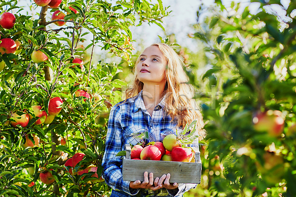 백인 성인 성인여자한명만 한명 JPG 아웃포커스 포토 해외이미지 과수원 나무상자 농부 들기 미소(표정) 사과 사과농장 상반신 야외 올려보기 주간