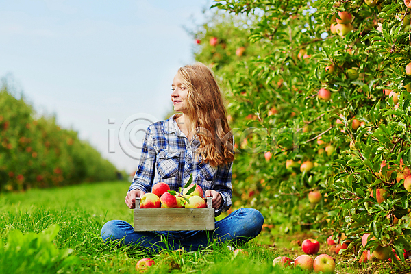 백인 성인 성인여자한명만 한명 JPG 아웃포커스 앞모습 포토 해외이미지 과수원 나무상자 농부 미소(표정) 사과 사과농장 앉기 야외 응시 전신 주간