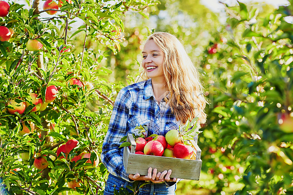 백인 성인 성인여자한명만 한명 JPG 아웃포커스 앞모습 포토 해외이미지 과수원 나무상자 농부 들기 미소(표정) 사과 사과농장 상반신 야외 주간