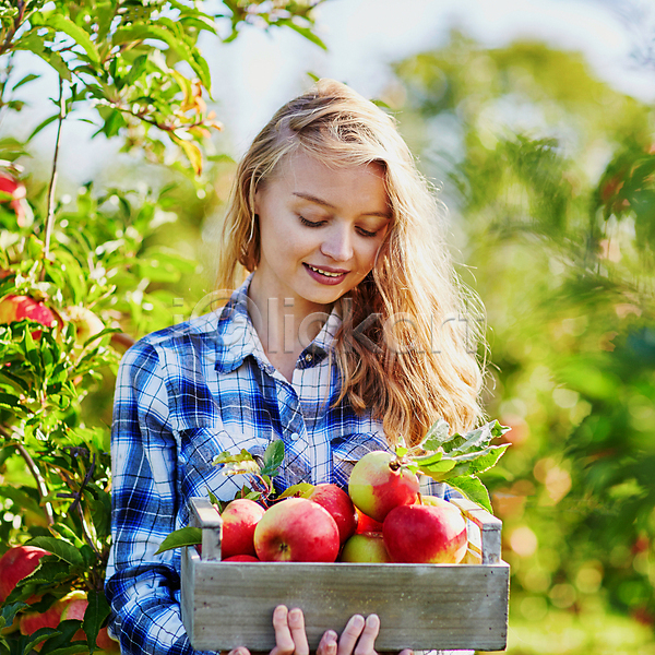 백인 성인 성인여자한명만 한명 JPG 아웃포커스 포토 해외이미지 과수원 나무상자 농부 들기 미소(표정) 사과 사과농장 상반신 야외 응시 주간