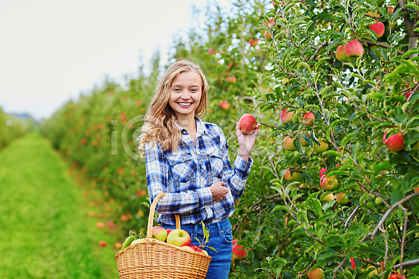 백인 성인 성인여자한명만 한명 JPG 아웃포커스 앞모습 포토 해외이미지 과수원 농부 들기 미소(표정) 사과 사과농장 사과바구니 상반신 수확 야외 주간
