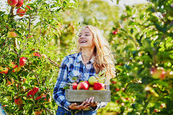 백인 성인 성인여자한명만 한명 JPG 아웃포커스 앞모습 포토 해외이미지 과수원 나무상자 농부 들기 사과 사과농장 상반신 야외 웃음 주간