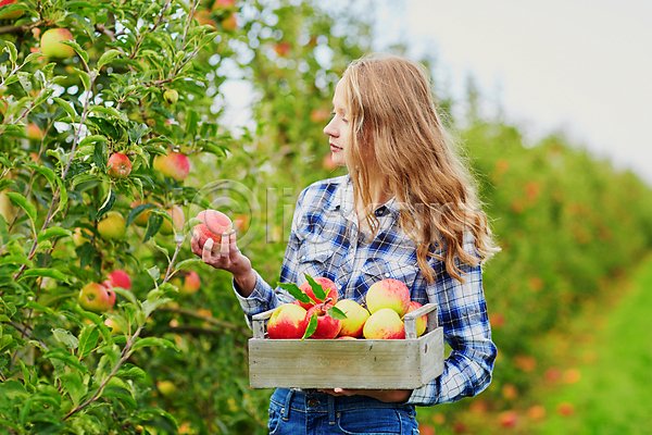 백인 성인 성인여자한명만 한명 JPG 아웃포커스 앞모습 포토 해외이미지 과수원 나무상자 농부 들기 미소(표정) 사과 사과농장 상반신 수확 야외 응시 주간
