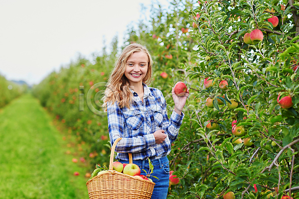 백인 성인 성인여자한명만 한명 JPG 아웃포커스 앞모습 포토 해외이미지 과수원 농부 들기 미소(표정) 사과 사과농장 사과바구니 상반신 수확 야외 주간