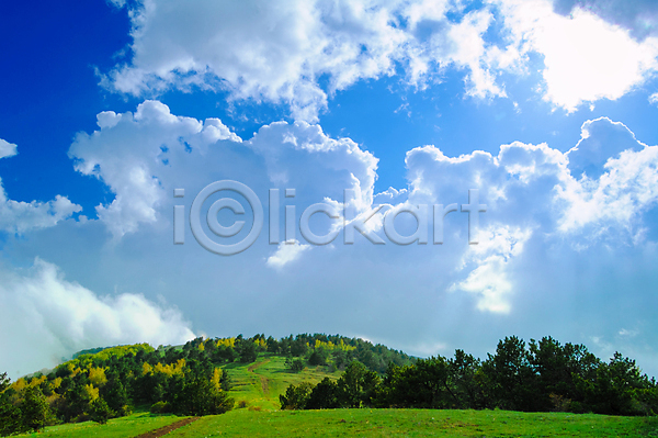 사람없음 JPG 포토 해외이미지 구름(자연) 나무 맑음 산 숲 아침 야외 언덕 풍경(경치) 하늘 해외202004