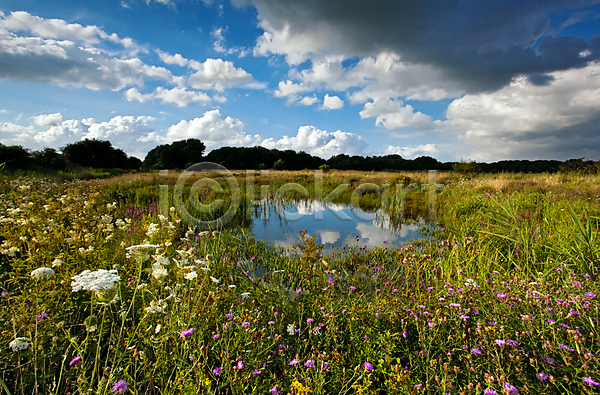사람없음 JPG 포토 해외이미지 구름(자연) 꽃 네덜란드 식물 야외 연못 풍경(경치) 해외202004 호수