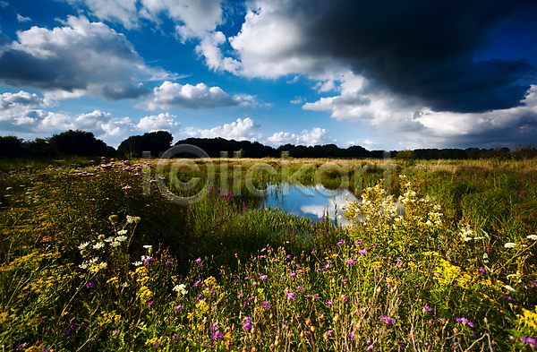 사람없음 JPG 포토 해외이미지 구름(자연) 꽃 네덜란드 들꽃 식물 야외 연못 풍경(경치) 하늘 해외202004 호수