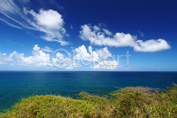 사람없음 JPG 포토 해외이미지 구름(자연) 바다 식물 잎 풍경(경치) 하늘 해변 해외202004