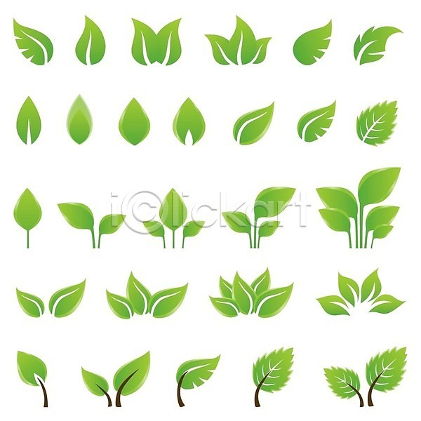 사람없음 EPS 일러스트 해외이미지 세트 에코라이프 엘리먼트 잎 종류 초록색 풀(식물) 해외202004 해외202105