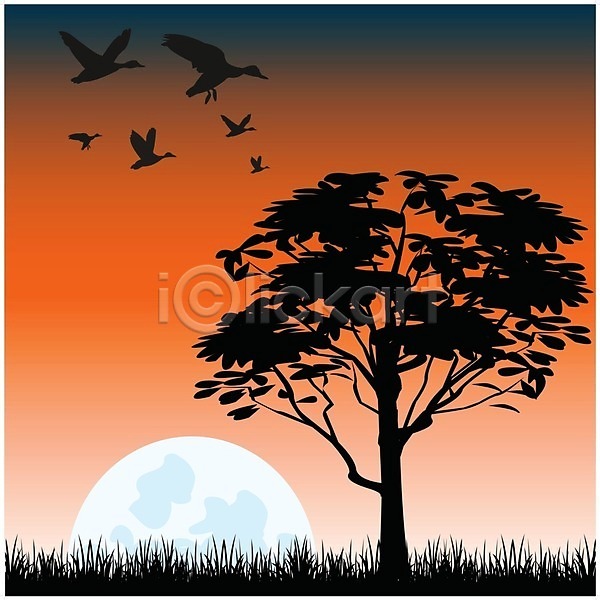사람없음 EPS 일러스트 해외이미지 나무 달 무리 식물 일몰 잎 저녁 조류 해외202004 해외202105