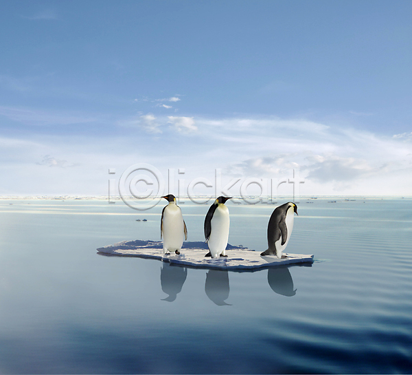 위험 사람없음 JPG 포토 해외이미지 동물 바다 북극 빙산 생물 위기 자연 펭귄 해외202004 환경