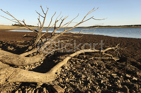 건조 사람없음 JPG 포토 해외이미지 가뭄 갈색 나뭇가지 땅 땅바닥 야외 자연 재앙 포르투갈 풍경(경치) 하늘 해외202004 호수 환경 흙