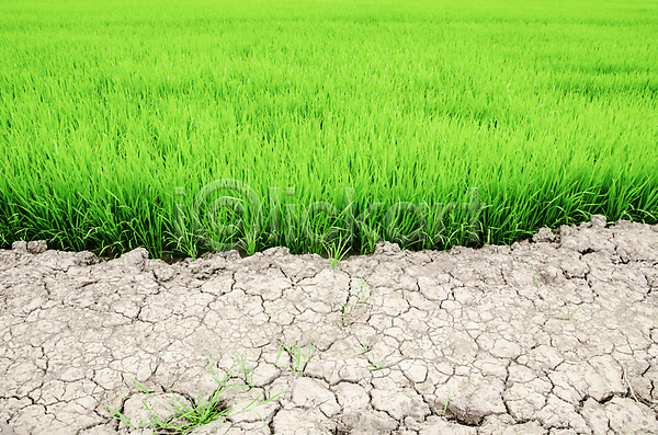 건조 사람없음 JPG 포토 해외이미지 가뭄 땅 문제 밭 부식 서식 위기 자연 재앙 지구 풍경(경치) 하늘 해외202004 환경