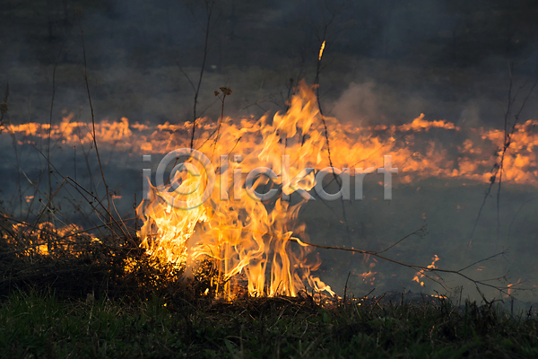 위험 사람없음 JPG 포토 해외이미지 땅 불 불꽃(불) 숲 안개 야외 연기 자연 재앙 해외202004 화재 환경