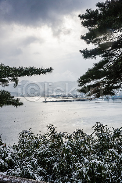 사람없음 JPG 포토 강원도 겨울 고성 국내여행 나무 눈(날씨) 바다 야외 주간 파도 풍경(경치) 하늘 한국