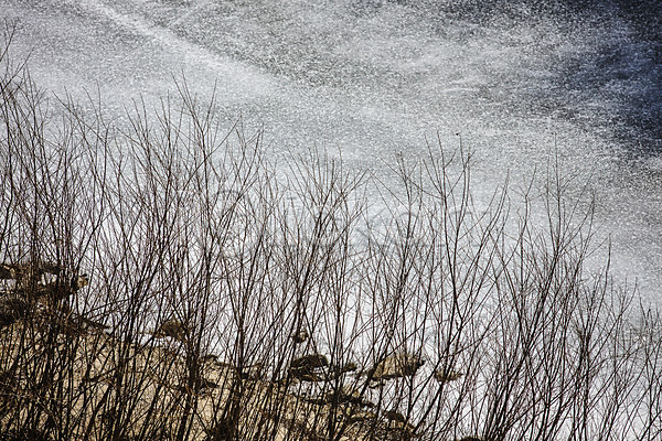 사람없음 JPG 포토 강 겨울 국내여행 빙판 야외 얼음 주간 충주 충청북도 풍경(경치) 한국