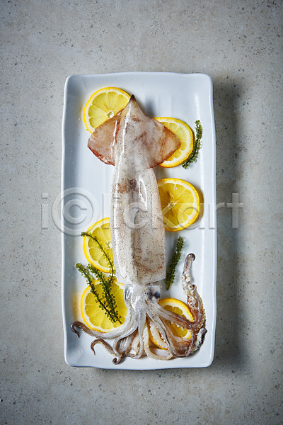사람없음 JPG 포토 하이앵글 레몬 바다포도 스튜디오촬영 식재료 실내 오징어 음식 접시 회색배경