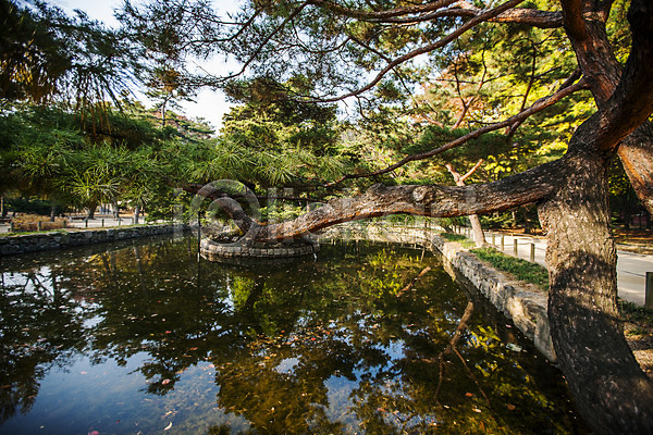 사람없음 JPG 포토 국내여행 나무 반사 서울 야외 연못 종로 주간 풍경(경치) 한국