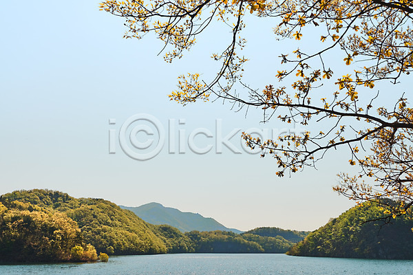 사람없음 JPG 포토 관광지 국내여행 나뭇가지 봄 숲 야외 주간 초평저수지 충청북도 풍경(경치) 하늘