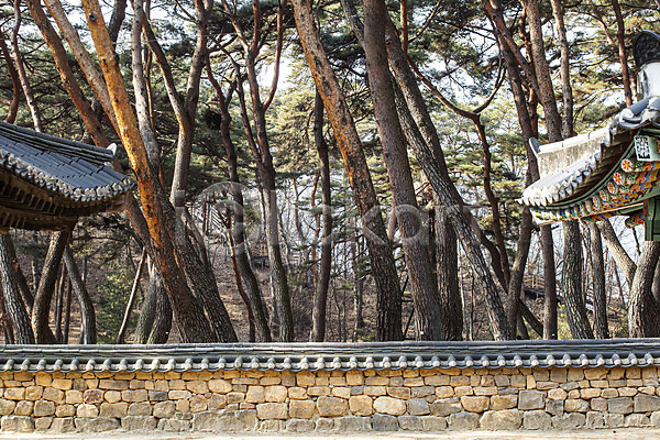 사람없음 JPG 포토 국내여행 기와담장 기와지붕 단종어소 소나무 야외 영월 유적지 주간 청령포 한옥