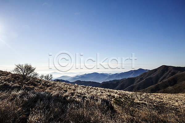 사람없음 JPG 포토 국내여행 나무 백두대간 산봉우리 소백산 야외 자연 주간 하늘