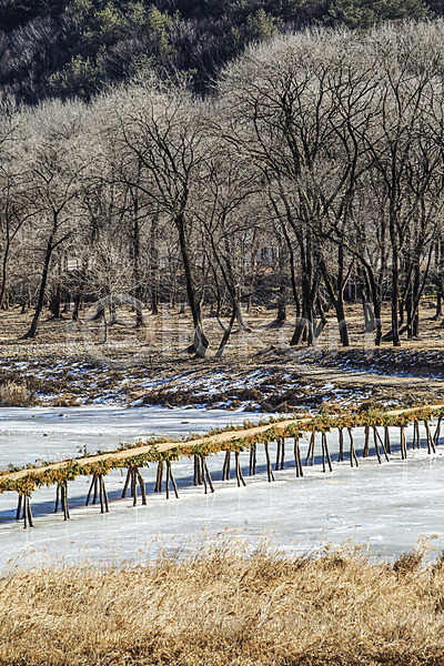 사람없음 JPG 포토 강 겨울 겨울풍경 국내여행 나무 섶다리 숲 야외 얼음 영월 자연 주간