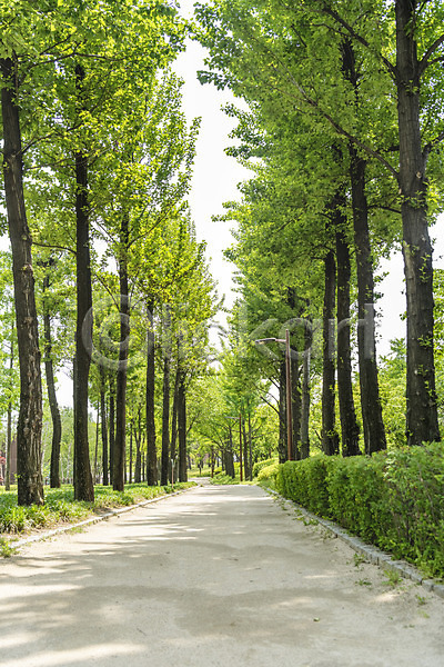 사람없음 JPG 포토 나무 봄 봄풍경 산책로 선유도공원 야외 주간