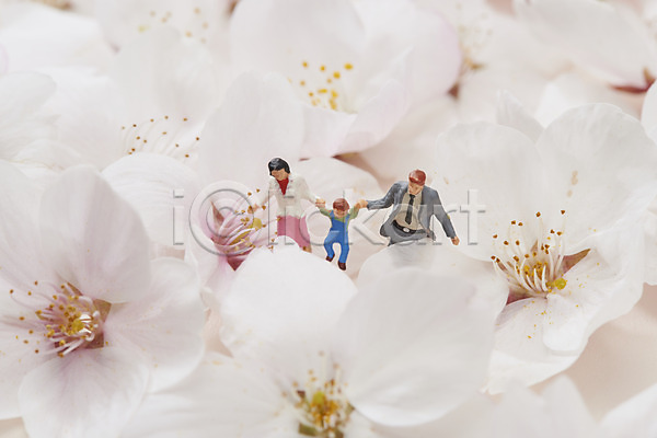 사람없음 JPG 근접촬영 포토 가족 벚꽃 봄 분홍색배경 스튜디오촬영 실내 인물미니어처