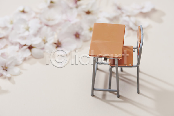 사람없음 JPG 아웃포커스 포토 미니어처 벚꽃 베이지색배경 봄 스튜디오촬영 실내 의자 책상